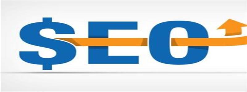 导致网站SEO优化排名起伏不定的原因和解决方法 第1张 百度seo优化网站排名起伏不定的原因和解决方法有哪些?
