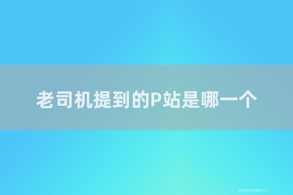 seo营销:老司机提到的P站是哪一个?如何找到p站网站的入口?