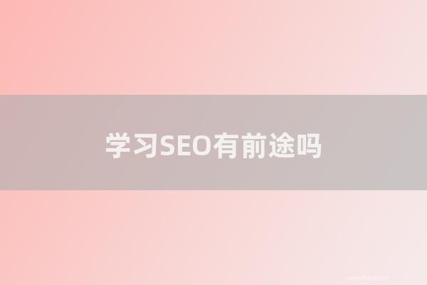 seo经验分享:学习SEO有前途吗?学会SEO如何能做到年入百万