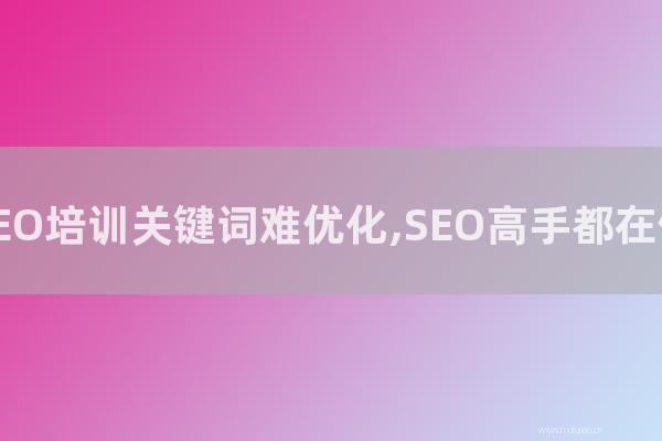 深圳seo博客:百度SEO培训关键词难优化,SEO高手都在做快排?