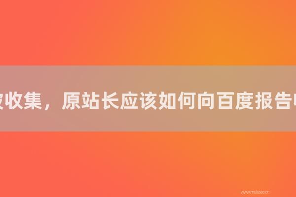 杭州seo博客:网站被采集,原站长应该如何向百度报告采集站?