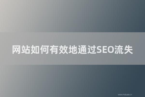 重庆seo博客:网站如何有效地通过SEO流失?分享网站优化步骤!